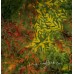 Seasonal Love Series